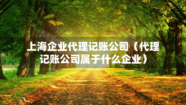 上海企业代理记账公司（代理记账公司属于什么企业）