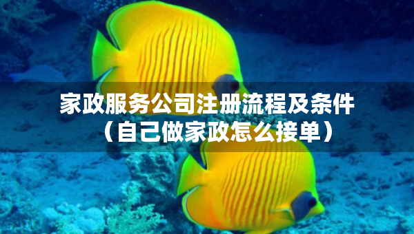 家政服务公司注册流程及条件（自己做家政怎么接单）