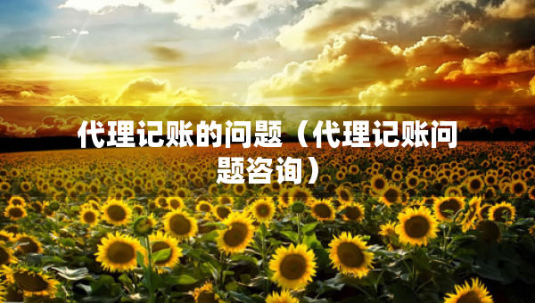 代理记账的问题（代理记账问题咨询）