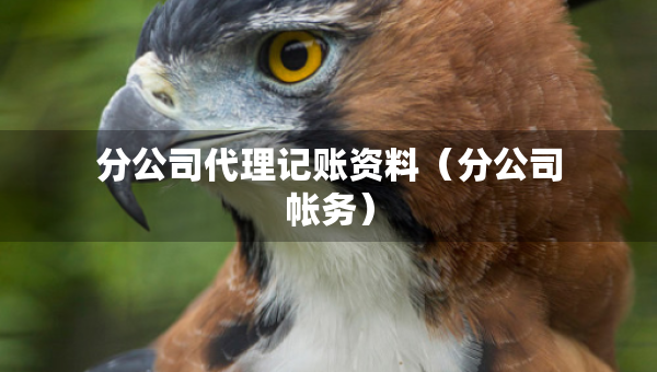 分公司代理记账资料（分公司帐务）