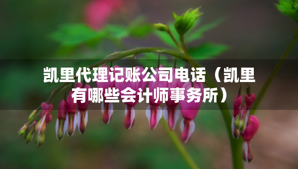 凯里代理记账公司电话（凯里有哪些会计师事务所）