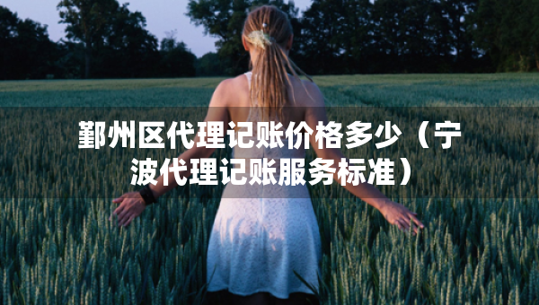 鄞州区代理记账价格多少（宁波代理记账服务标准）