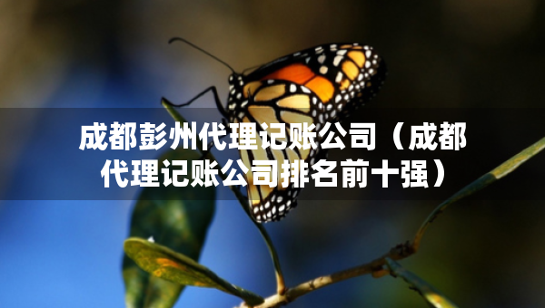 成都彭州代理记账公司（成都代理记账公司排名前十强）