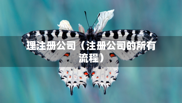 理注册公司（注册公司的所有流程）