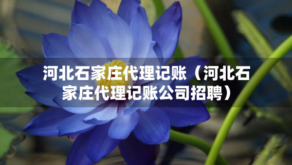 河北石家庄代理记账（河北石家庄代理记账公司招聘）