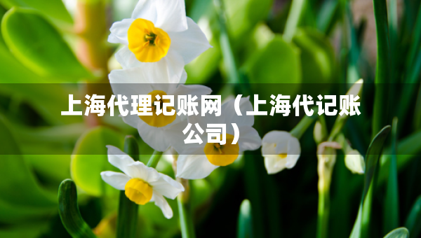 上海代理记账网（上海代记账公司）