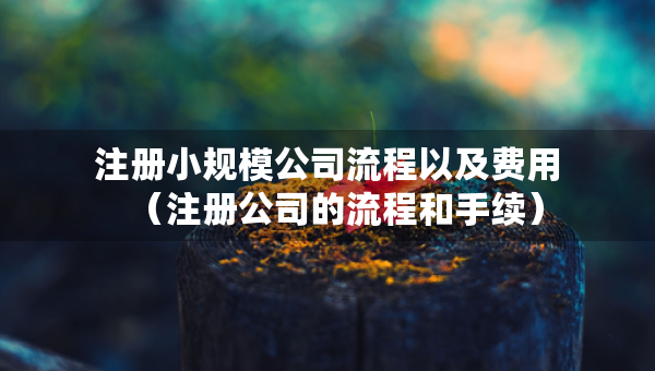 注册小规模公司流程以及费用（注册公司的流程和手续）