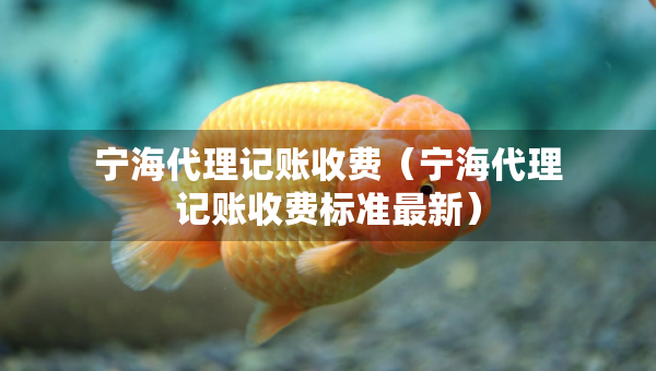 宁海代理记账收费(宁海代理记账收费标准最新) 宁海代理记账收费(宁海代理记账收费标准最新)