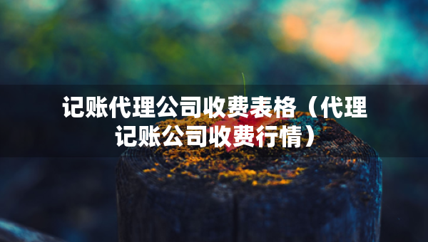 记账代理公司收费表格（代理记账公司收费行情）
