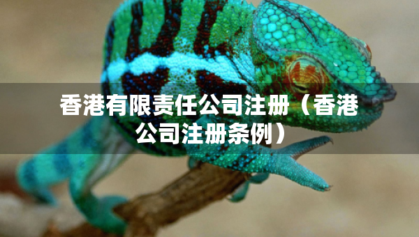 香港有限责任公司注册（香港公司注册条例）