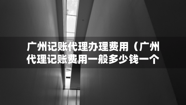 广州记账代理办理费用（广州代理记账费用一般多少钱一个月）