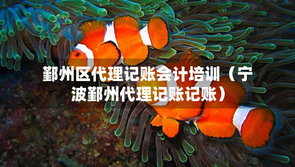 鄞州区代理记账会计培训（宁波鄞州代理记账记账）