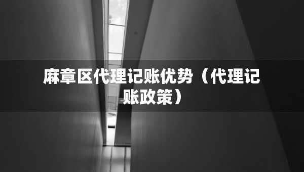 麻章区代理记账优势（代理记账政策）