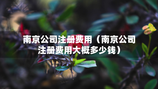 南京公司注册费用（南京公司注册费用大概多少钱）