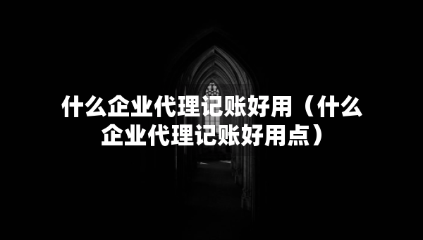 什么企业代理记账好用（什么企业代理记账好用点）