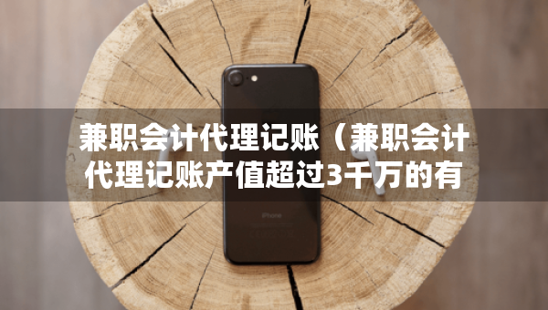 兼职会计代理记账（兼职会计代理记账产值超过3千万的有哪些）