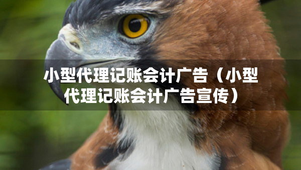 小型代理记账会计广告（小型代理记账会计广告宣传）