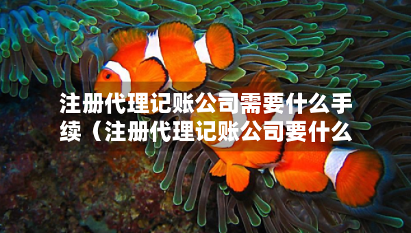 注册代理记账公司需要什么手续（注册代理记账公司要什么条件）
