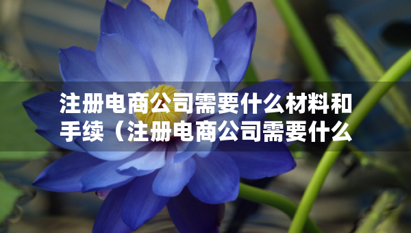注册电商公司需要什么材料和手续（注册电商公司需要什么材料和手续和证件）