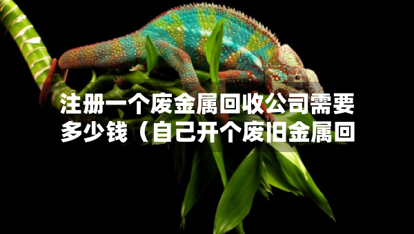 注册一个废金属回收公司需要多少钱（自己开个废旧金属回收厂的多少钱?）