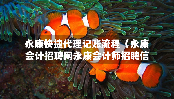 永康快捷代理记账流程（永康会计招聘网永康会计师招聘信息）