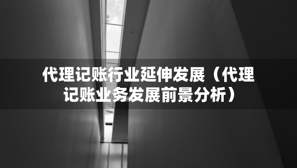代理记账行业延伸发展(代理记账业务发展前景分析) 代理记账行业延伸发展(代理记账业务发展前景分析)