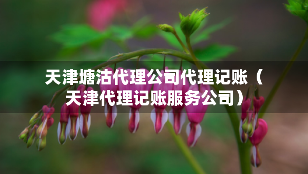 天津塘沽代理公司代理记账（天津代理记账服务公司）