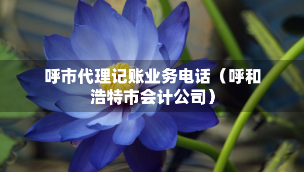 呼市代理记账业务电话（呼和浩特市会计公司）