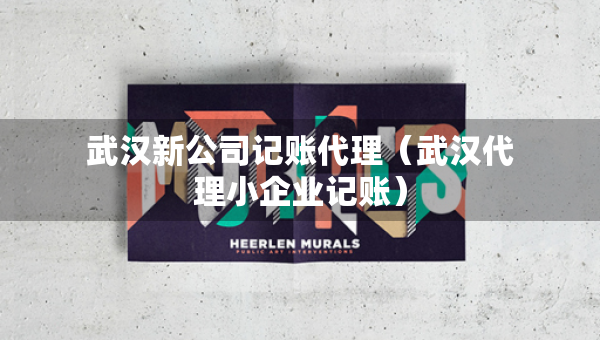 武汉新公司记账代理（武汉代理小企业记账）