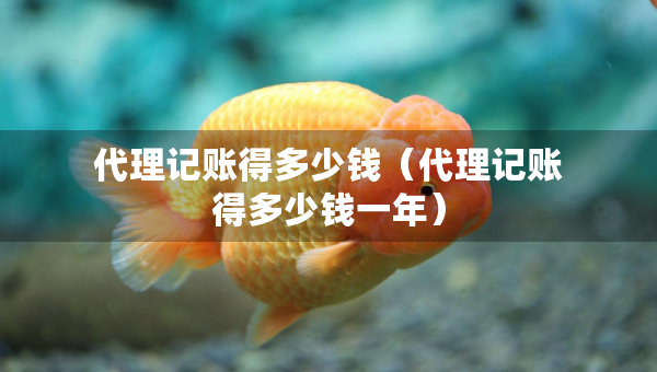 代理记账得多少钱（代理记账得多少钱一年）