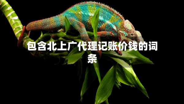 包含北上广代理记账价钱的词条