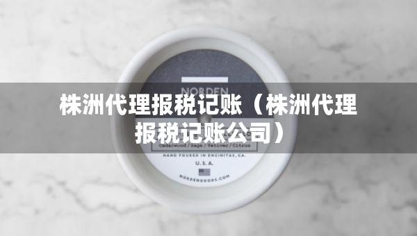 株洲代理报税记账（株洲代理报税记账公司）