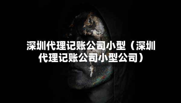 深圳代理记账公司小型（深圳代理记账公司小型公司）