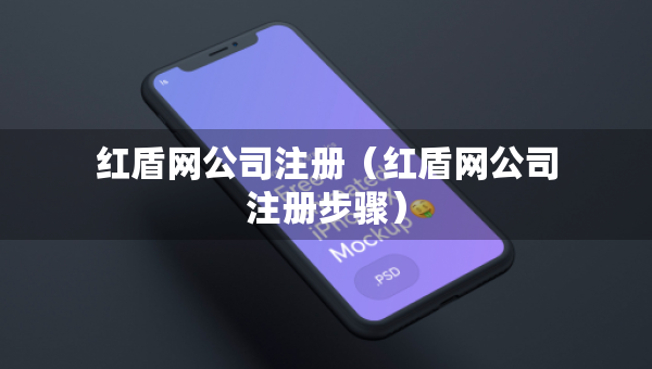 红盾网公司注册（红盾网公司注册步骤）