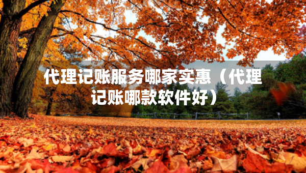 代理记账服务哪家实惠（代理记账哪款软件好）