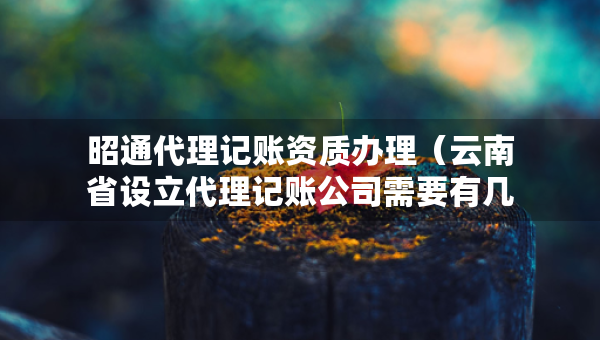 昭通代理记账资质办理（云南省设立代理记账公司需要有几个人）