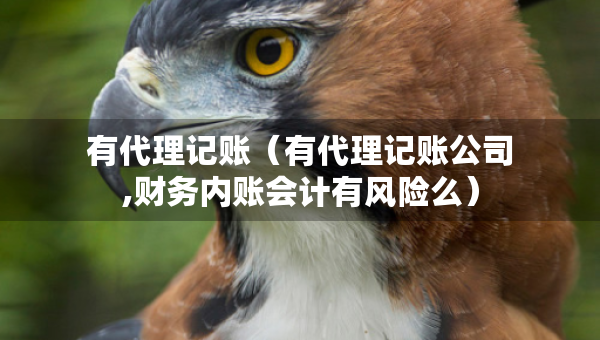 有代理记账（有代理记账公司,财务内账会计有风险么）