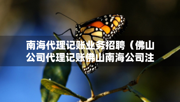 南海代理记账业务招聘（佛山公司代理记账佛山南海公司注册价格）