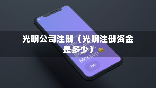 光明公司注册（光明注册资金是多少）