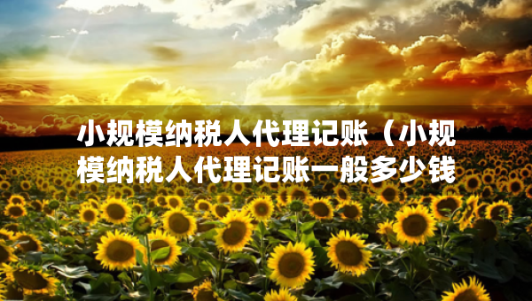 小规模纳税人代理记账（小规模纳税人代理记账一般多少钱）