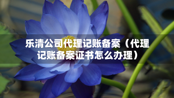 乐清公司代理记账备案（代理记账备案证书怎么办理）