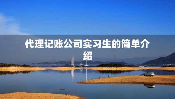 代理记账公司实习生的简单介绍