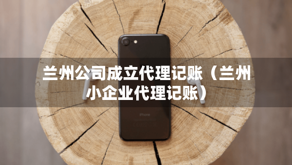 兰州公司成立代理记账（兰州小企业代理记账）