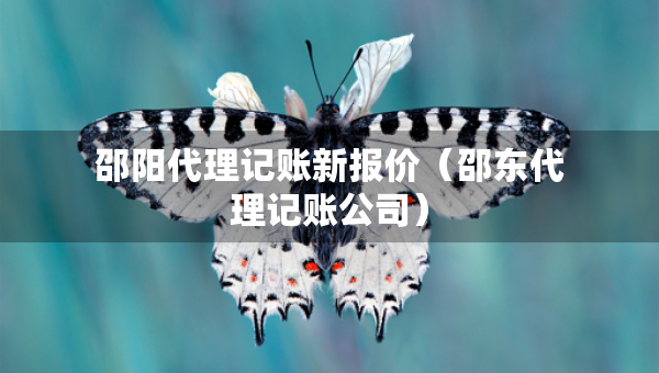 邵阳代理记账新报价（邵东代理记账公司）
