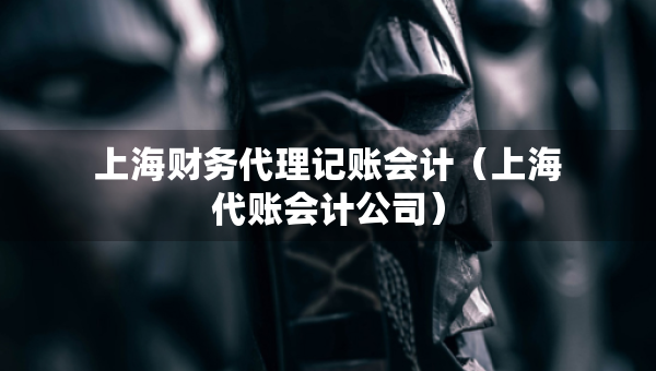 上海财务代理记账会计（上海代账会计公司）