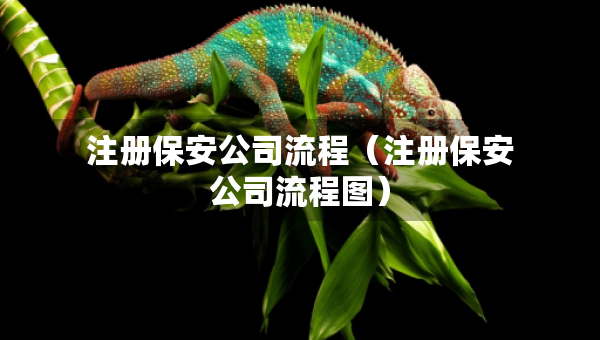 注册保安公司流程（注册保安公司流程图）