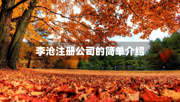 李沧注册公司的简单介绍