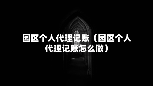 园区个人代理记账（园区个人代理记账怎么做）