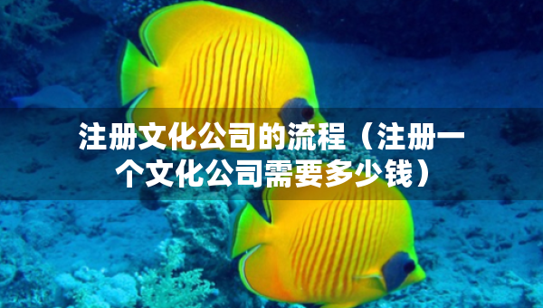 注册文化公司的流程（注册一个文化公司需要多少钱）