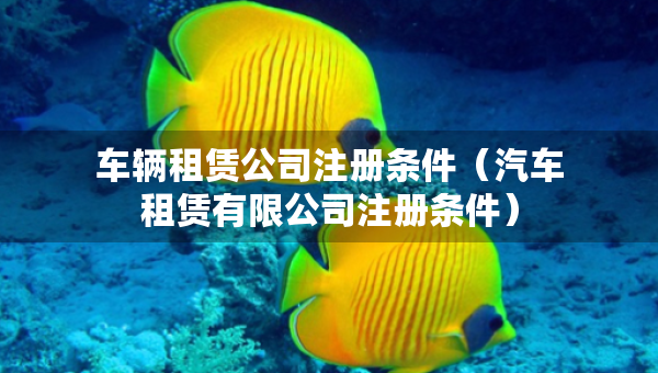 车辆租赁公司注册条件（汽车租赁有限公司注册条件）